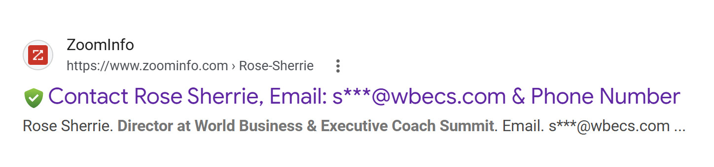 Archived ZoomInfo listing: Sherrie Rose, Director at WBECS